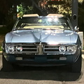 firebird night