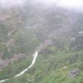 img 1108.med