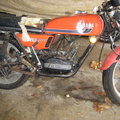 IMG 0706