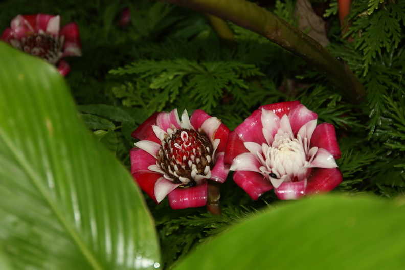 hawaii 06-2014 238