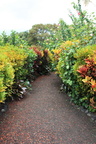 hawaii 06-2014 335