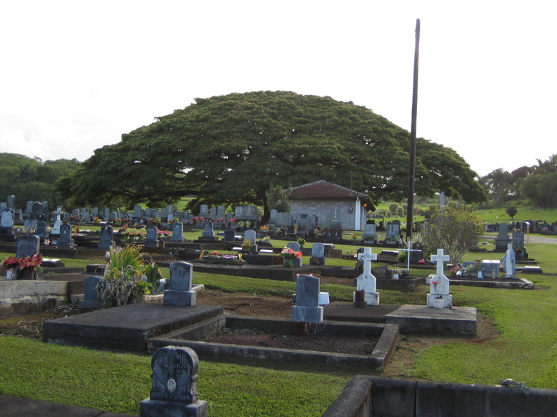hawaii 06-2014 371