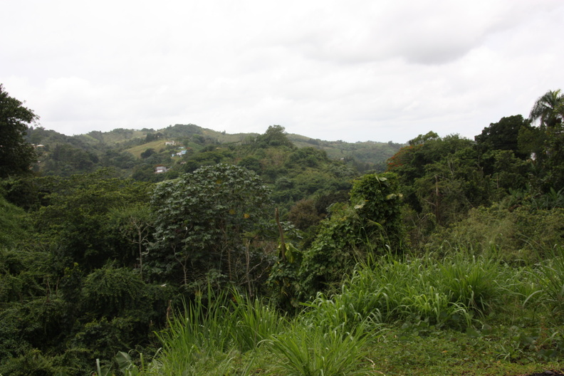 img 1883 2867