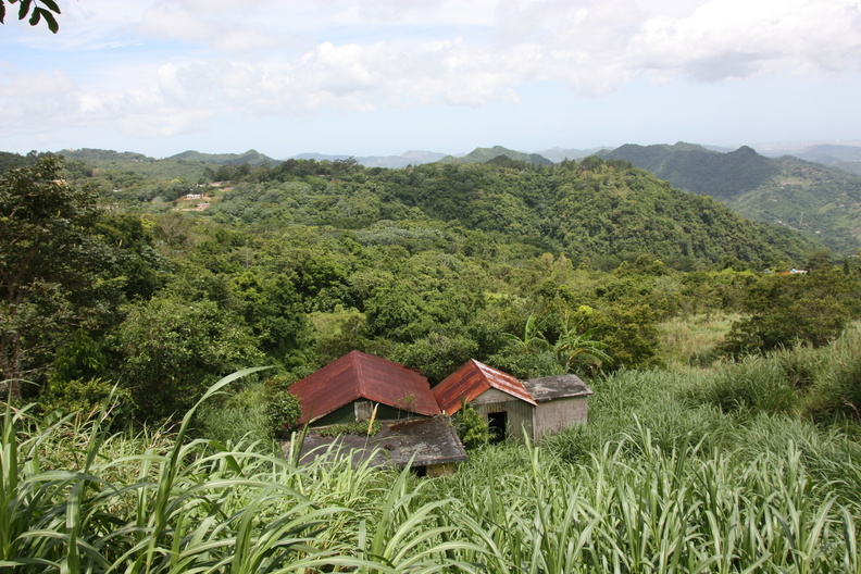 img 1890 2869