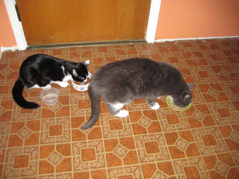 img 0679 756